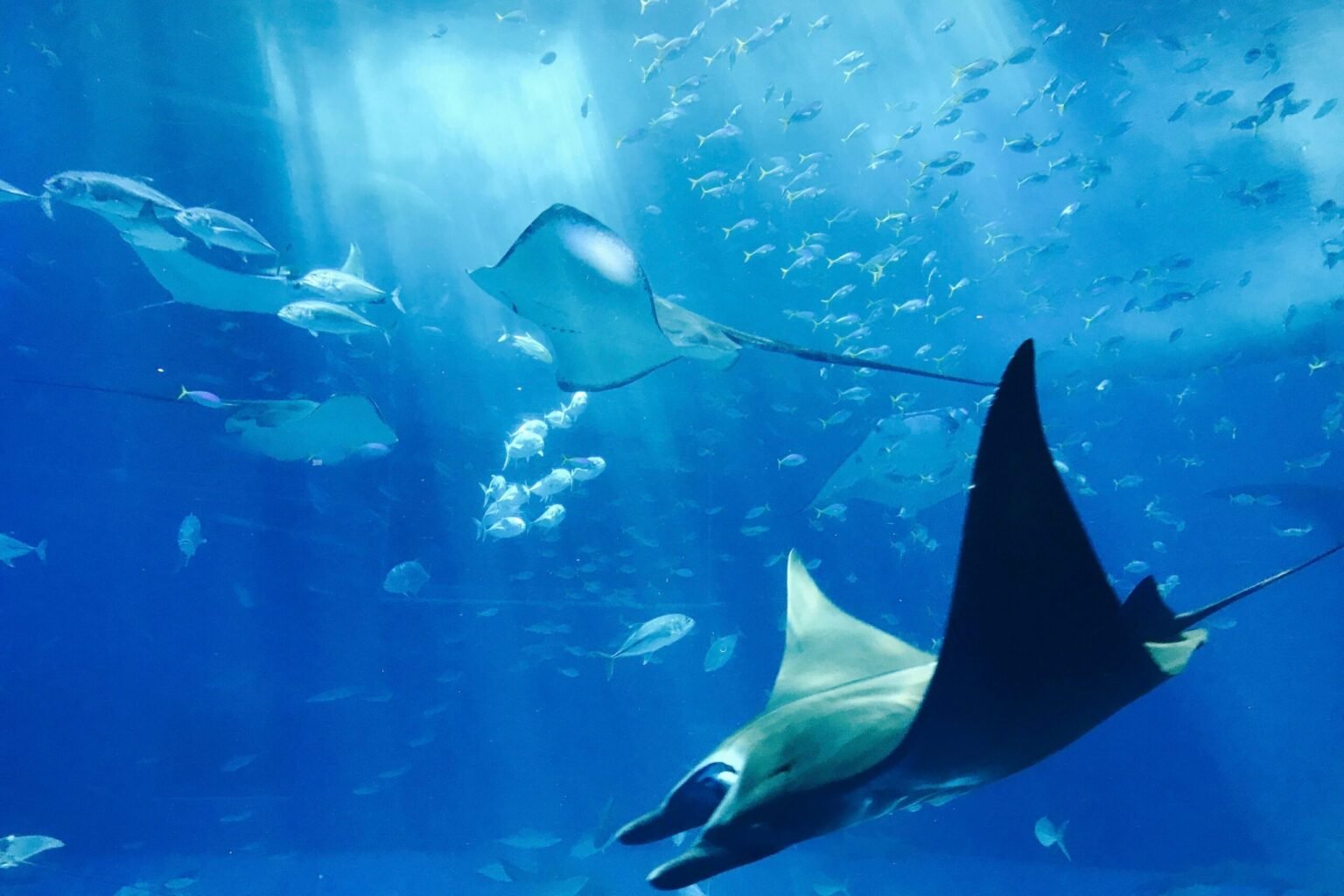 Turkey yacht charter