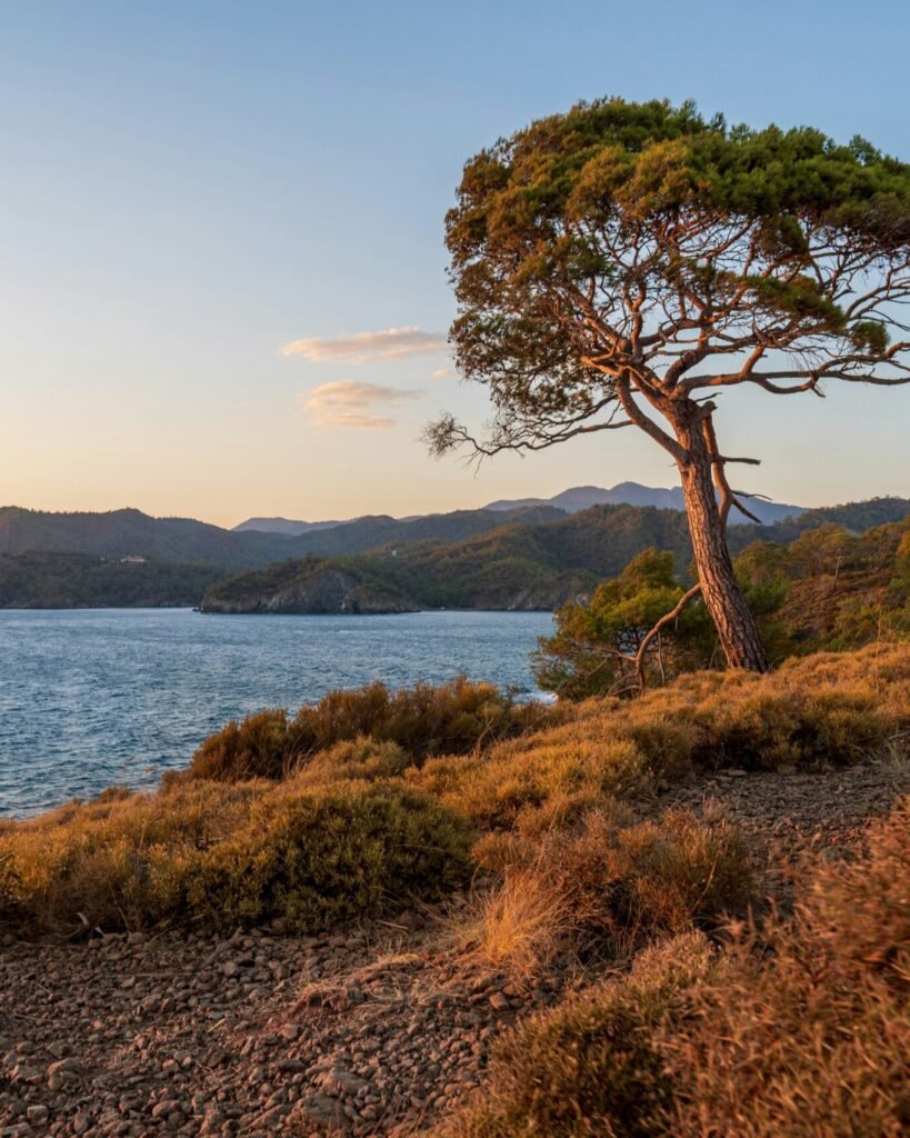 Turkey yacht charter